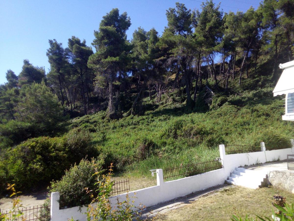 Sea & Forest Kallithea  Bagian luar foto