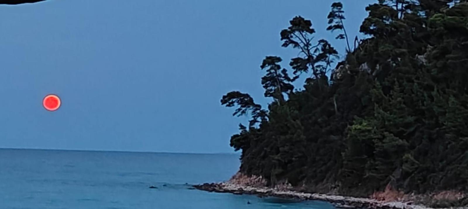 Sea & Forest Kallithea  Bagian luar foto