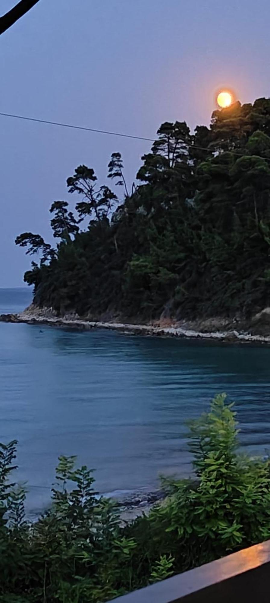 Sea & Forest Kallithea  Bagian luar foto